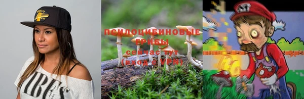 альфа пвп Каменка