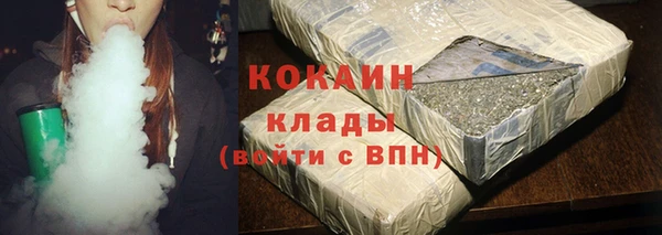 прущие грибы Инсар