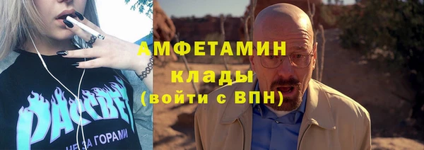 шишки Каменногорск