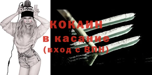 прущие грибы Инсар