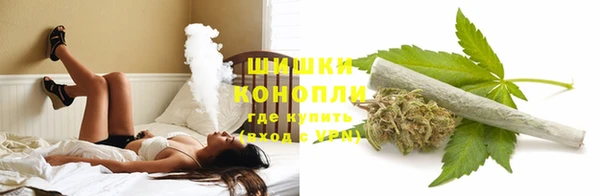 трава Иннополис