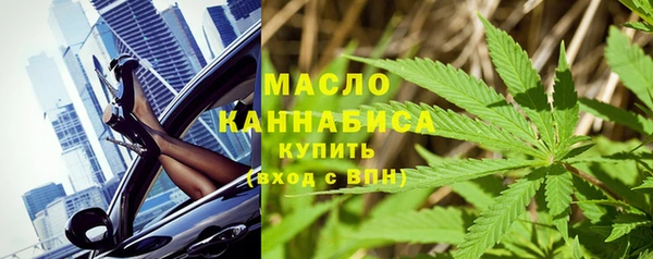 шишки Каменногорск