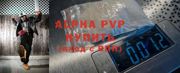 прущие грибы Инсар