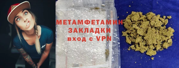 прущие грибы Инсар