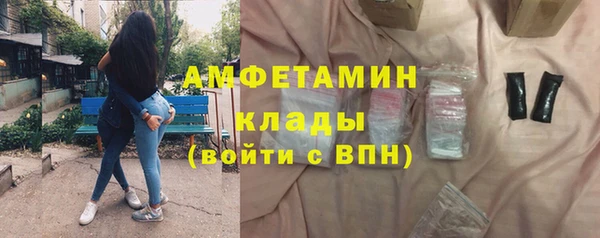 прущие грибы Инсар