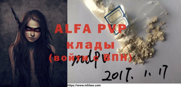 прущие грибы Инсар